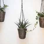 Eco Boutique Grau Барселона