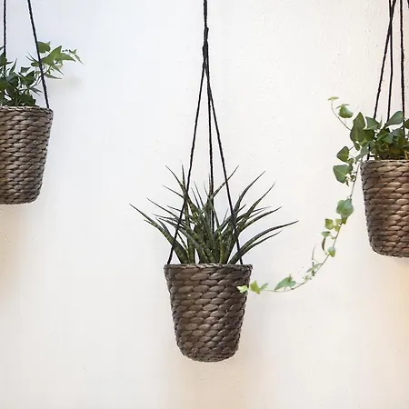 Eco Boutique Grau برشلونة